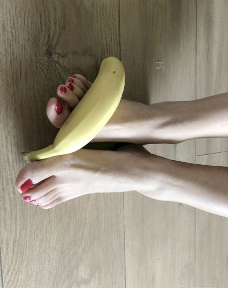 日剧《不愉快的果实》免费观看