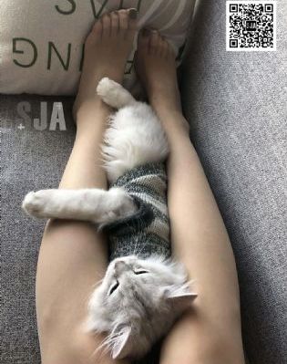 宛如天堂