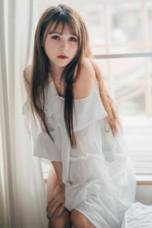 间谍过家家第二季在线观看免费