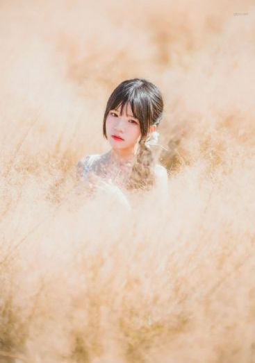 丁香花免费完整高清观看