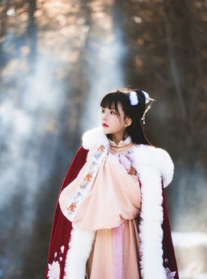 金莲直播