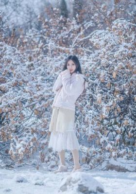 梦想的声音第三季